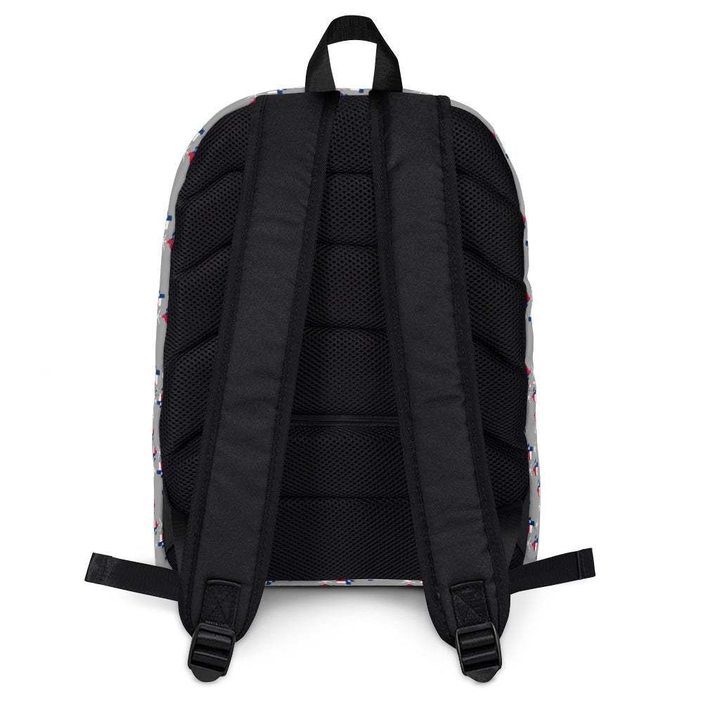 LSK "Texas" Backpack in Nobel